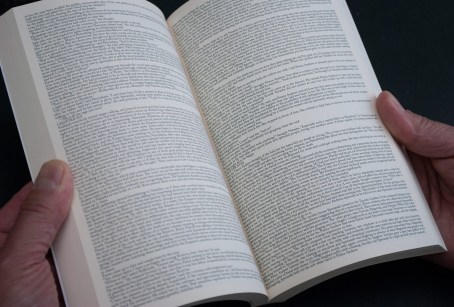 The_Story_of_a_Young_Gentleman