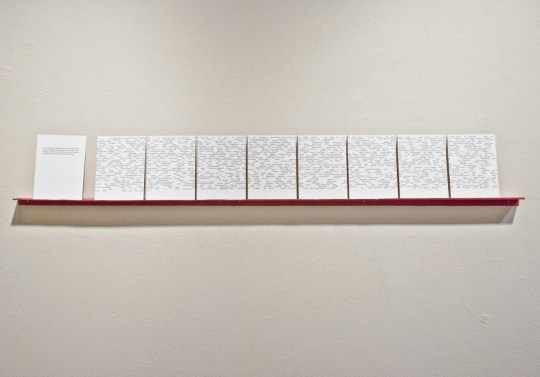 DSC_2313_adjusted_web